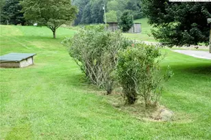 1294 Spencer Branch Rd, Lansing, NC 28643 - Photo 41