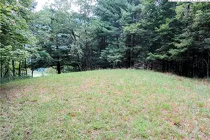 1294 Spencer Branch Rd, Lansing, NC 28643 - Photo 29