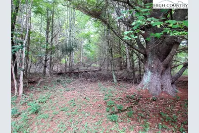 1294 Spencer Branch Road, Lansing, NC 28643 - Photo 39