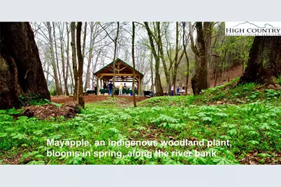 2.05 Acres, Lot 83 Crescent Ridge Drive, Lenoir, NC 28645 - Photo 19