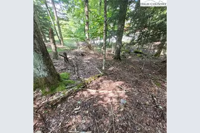 106 Woodridge Road, Beech Mountain, NC 28604 - Photo 11