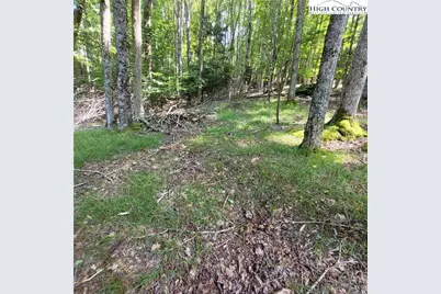 106 Woodridge Road, Beech Mountain, NC 28604 - Photo 7