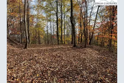 Tbd Globe Road, Lenoir, NC 28645 - Photo 5