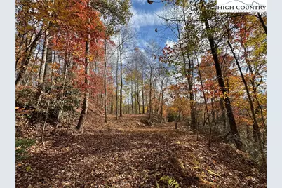 Tbd Globe Road, Lenoir, NC 28645 - Photo 3