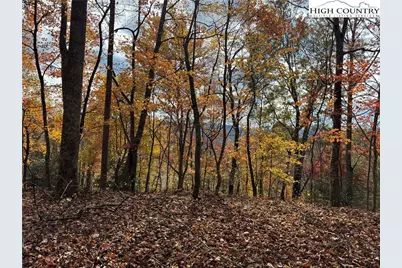 Tbd Globe Road, Lenoir, NC 28645 - Photo 19