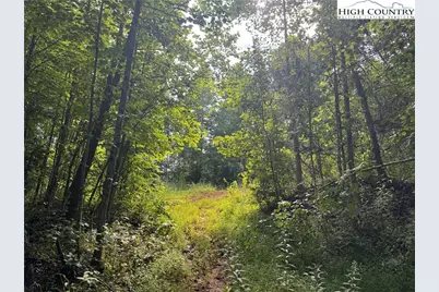 Tbd Globe Road, Lenoir, NC 28645 - Photo 13