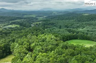 141 Maines Hill Ln, Scottville, NC 28672 - Photo 41