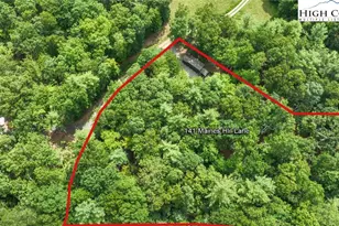 141 Maines Hill Ln, Scottville, NC 28672 - Photo 9