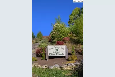 Lots 56&57 Silver Springs Drive, Banner Elk, NC 28604 - Photo 7