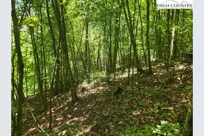 2003 Zacks Fork Road, Lenoir, NC 28645 - Photo 21