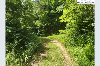 2003 Zacks Fork Road, Lenoir, NC 28645 - Photo 19