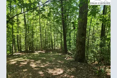 2003 Zacks Fork Road, Lenoir, NC 28645 - Photo 25