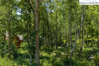 Lot V79 Tioga Trail, Banner Elk, NC 28604 - Photo 9