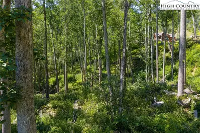 Lot V79 Tioga Trail, Banner Elk, NC 28604 - Photo 11