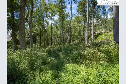 Lot V79 Tioga Trail, Banner Elk, NC 28604 - Photo 3