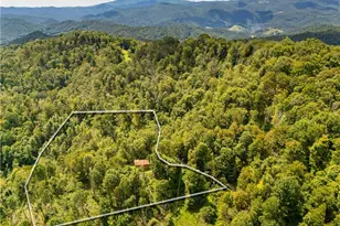 2811 Georges Gap Rd, Vilas, NC 28692 - Photo 35