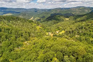 2811 Georges Gap Rd, Vilas, NC 28692 - Photo 47