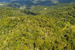 2811 Georges Gap Rd, Vilas, NC 28692 - Photo 33