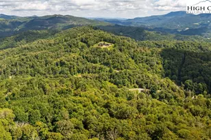 2811 Georges Gap Rd, Vilas, NC 28692 - Photo 37