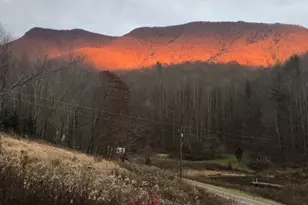 3786 Peak Rd, Creston, NC 28615 - Photo 29