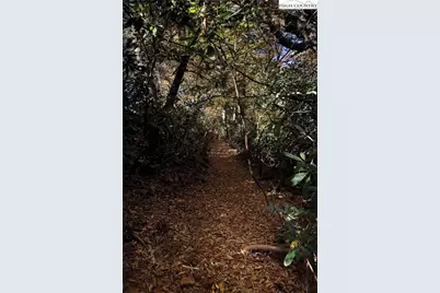 952 Sweetgrass Drive, Blowing Rock, NC 28605 - Photo 47