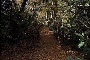 952 Sweetgrass Dr, Blowing Rock, NC 28605 - Photo 47