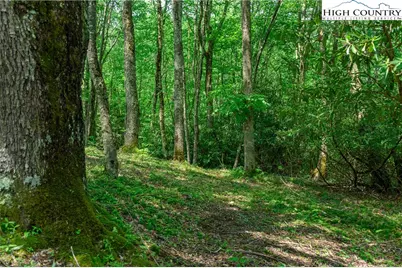 Es-30 Eagle Springs Trail, Banner Elk, NC 28604 - Photo 3