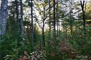 Lot 309 1211 Winding Crk Wy, Lenoir, NC 28645 - Photo 1
