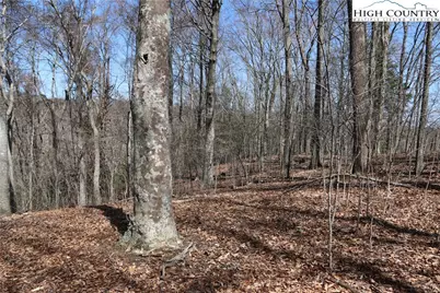 Tbd Ed Little Road, Warrensville, NC 28693 - Photo 5