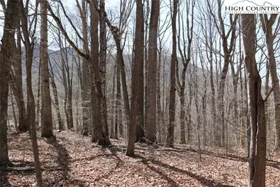 Tbd Ed Little Road, Warrensville, NC 28693 - Photo 9