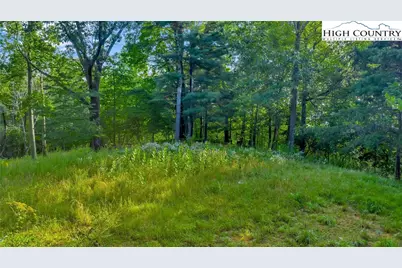 Tbd Nc Hwy 88 E, Laurel Springs, NC 28644 - Photo 5