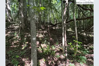 Tbd Dark Ridge Road, Elk Park, NC 28622 - Photo 15