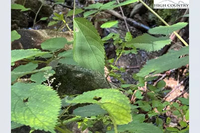 Tbd Dark Ridge Road, Elk Park, NC 28622 - Photo 9