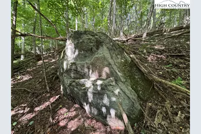 Tbd Dark Ridge Road, Elk Park, NC 28622 - Photo 13