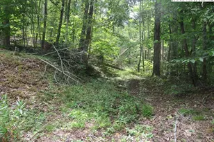 Tbd Jc Norton, Warrensville, NC 28693 - Photo 1