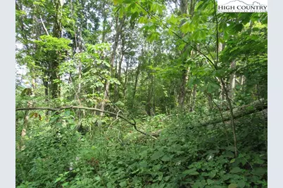 Tbd Jc Norton, Warrensville, NC 28693 - Photo 11