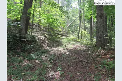 Tbd Jc Norton, Warrensville, NC 28693 - Photo 5