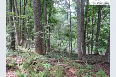 Tbd Jc Norton, Warrensville, NC 28693 - Photo 7