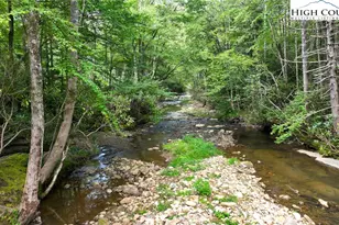 505 Tanglewood Cemetery Rd, Linville, NC 28646 - Photo 33