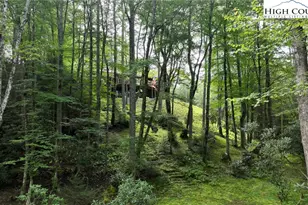 505 Tanglewood Cemetery Rd, Linville, NC 28646 - Photo 41