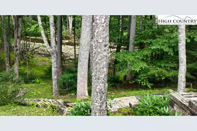 505 Tanglewood Cemetery Road, Linville, NC 28646 - Photo 5