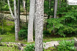 505 Tanglewood Cemetery Rd, Linville, NC 28646 - Photo 5