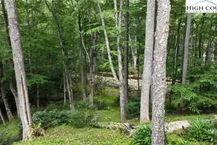 505 Tanglewood Cemetery Rd, Linville, NC 28646 - Photo 43