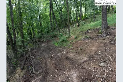 Vr1 Red Sky Parkway, Elk Park, NC 28622 - Photo 9