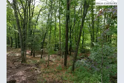 Vr1 Red Sky Parkway, Elk Park, NC 28622 - Photo 7