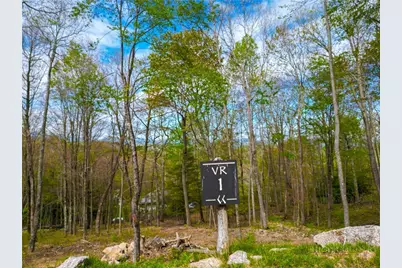 Vr1 Red Sky Parkway, Elk Park, NC 28622 - Photo 1