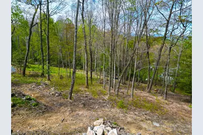 Vr1 Red Sky Parkway, Elk Park, NC 28622 - Photo 19