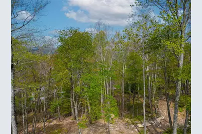 Vr1 Red Sky Parkway, Elk Park, NC 28622 - Photo 5
