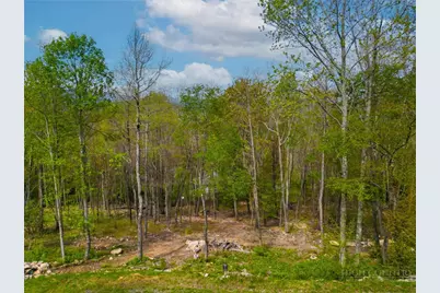 Vr1 Red Sky Parkway, Elk Park, NC 28622 - Photo 3