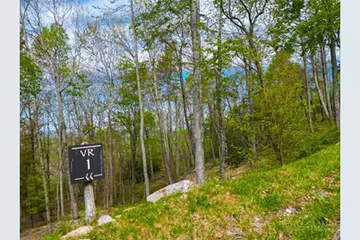Vr1 Red Sky Parkway, Elk Park, NC 28622 - Photo 11